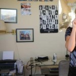 mavenly
