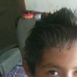 rey_francisco
