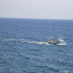 julia morales lat&hellip;